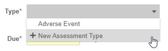 New Assessment Type option